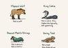 animal names