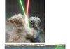 Animals with lightsabers