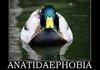 Anatidaephobia