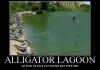 Alligator Lagoon