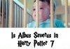 Albus Severus