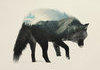 Double Exposure Animals