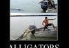 alligators