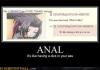 Anal