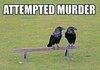 attempted murder
