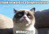another grump cat post
