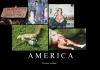 America!