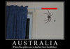 Australian spiders