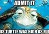 Admit it