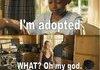 ADOPTED