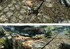Skyrim
