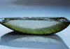 a slice of aloe vera