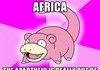Africa Slowpoke
