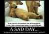 A SAD DAY description