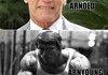 Arnold