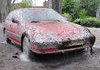 A Car Covered in Caterpillars