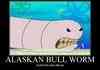 alaskan bull worm