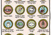 Awkward merit badges