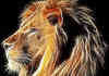 Awesome Lion