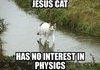 jesus cat