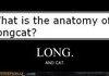 Anatomy FAIL