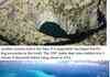 Astonishing holes on the Earth!