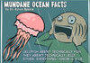 Amazing Ocean Facts