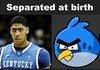 Anthony Davis and his Angry Bird