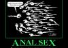 Anal Sex