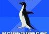 akward penguin