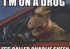 Alf is On Drugs