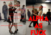 ALPHA MALE