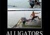 Alligators