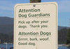 ATTENTION ALL DOGS
